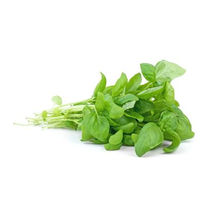 Organic Basil Bunch