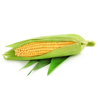 Organic Yellow Sweet Corn