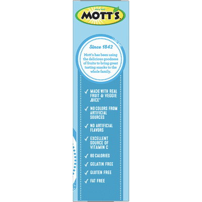 Mott’s Assorted Fruit Flavored Snacks, 10 Count