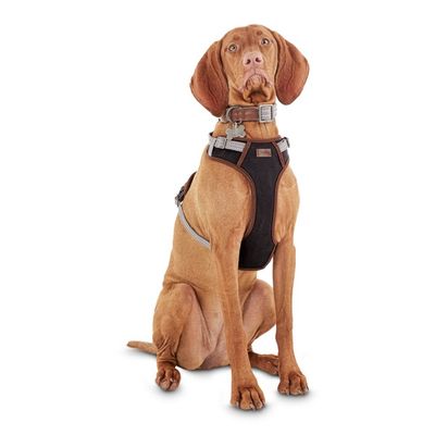 Extra Extra Large & Extra Extra Extra Large Redy Gray Dog Harness