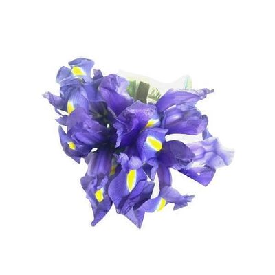 Fresh Blooms 5-stem Iris