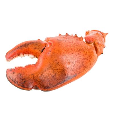 Fresh Scored Lobster Claws
