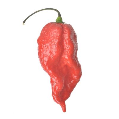 Scorpion Pepper