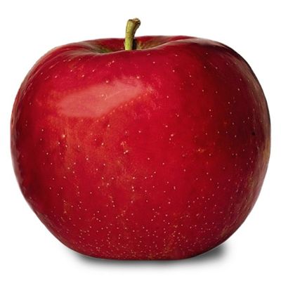 Honeycrisp Apples