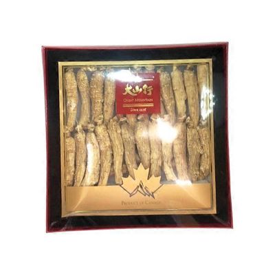 Great Mountain Medium Large Ontginseng Short