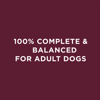 Purina Dog Chow Dry Dog Food, Tender & Crunchy With Real Lamb