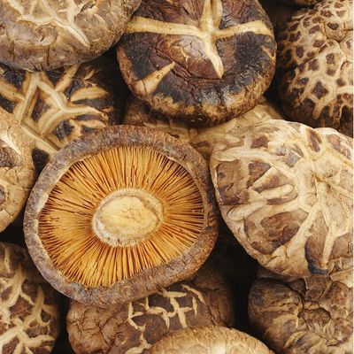 Organic Shiitake Mushroom