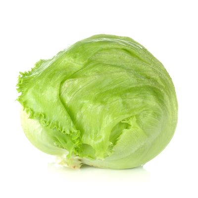 Signature Kitchens Iceberg Lettuce