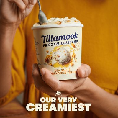 Tillamook Sea Salt & Honeycomb Toffee Frozen Custard Dessert (15 fl-oz ...