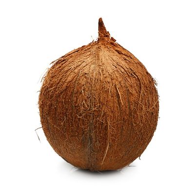 Coconut