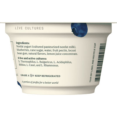 Chobani Yogurt, Greek, Non-Fat, Blueberry on the Bottom