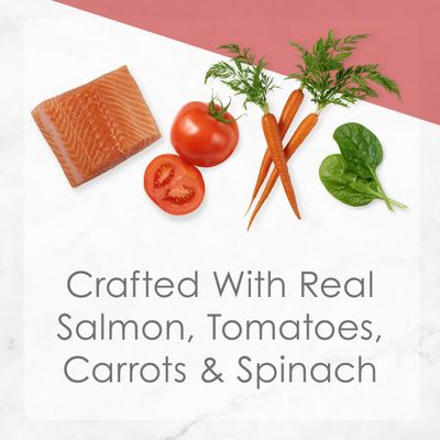 Fancy Feast Pate Wet Cat Food, Medleys Wild Salmon Primavera With Garden Veggies & Greens