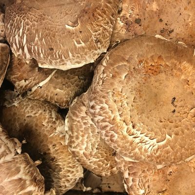 Dole Baby Portobello Mushrooms