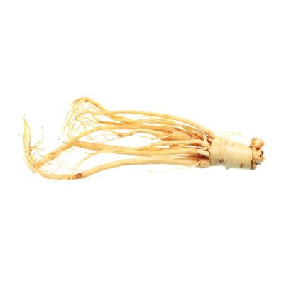 Ginseng
