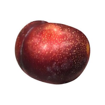 Black Plum