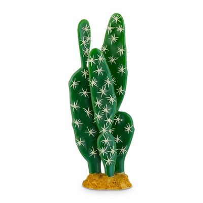 Image Medium Cactus