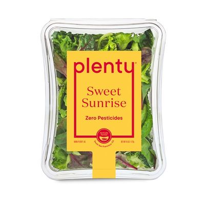 Plenty Sweet Sunrise Greens & Herbs Blend