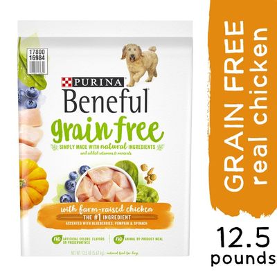 sam's club beneful dog food