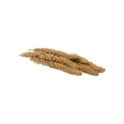 Healthy Select Millet Snips for Rabbits, Hamsters, Mice, and other small animals
