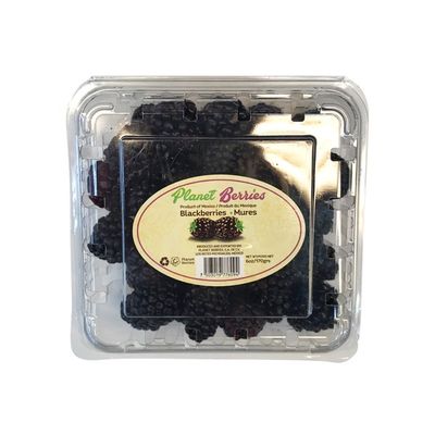 Blackberries