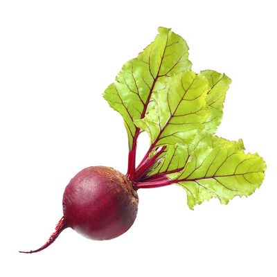 Organic Red Beet