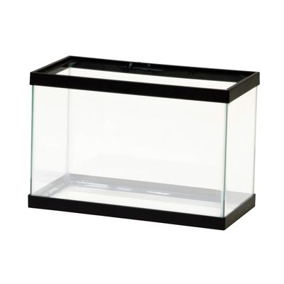 Aquino 2.5 Gallon Glass Aquarium