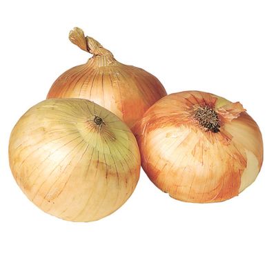 Vidalia Onion