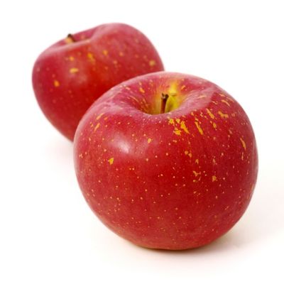 Kiku Apple