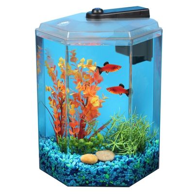 Imagitarium 1.7-Gallon Hexagonal Freshwater Aquarium