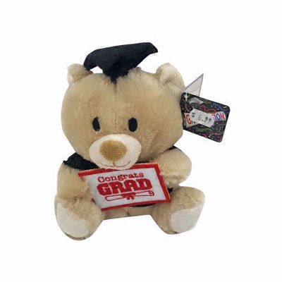 6" Graduation Bear Plush Toy