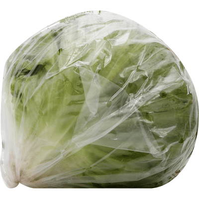 Iceberg Lettuce
