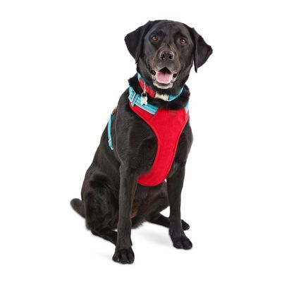 Extra Large & Extra Extra Large Blue Redy Dog Harness