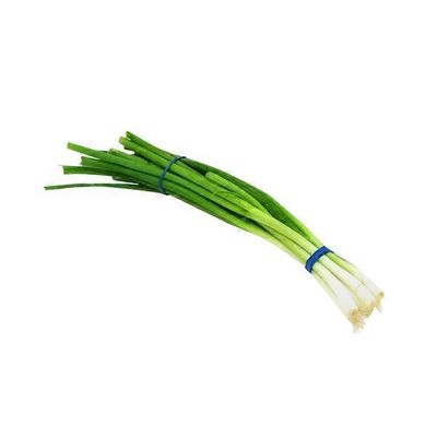 Boskovich Green Onions