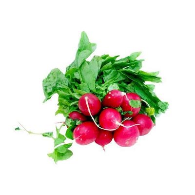 Bunch Radishes