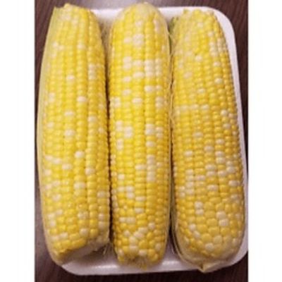 Yellow Sweet Corn Package