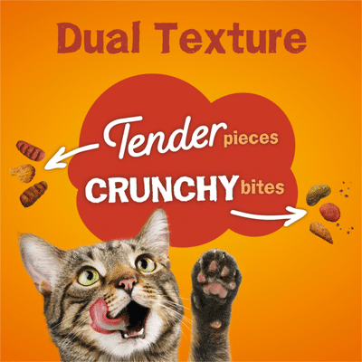 Purina Friskies Dry Cat Food, Tender & Crunchy Combo
