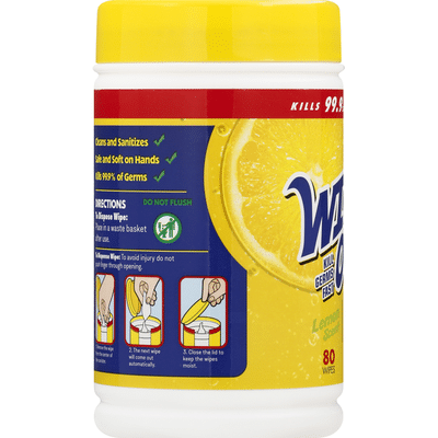 Wipe Out Hand Wipes, Antibacterial, Fresh Scent