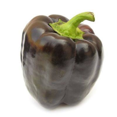 Brown Bell Pepper