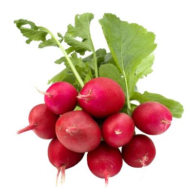 Radishes