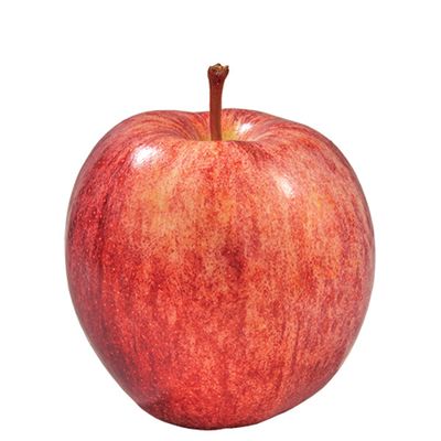 Gala Apple