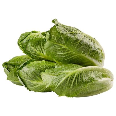 Romaine Lettuce Hearts