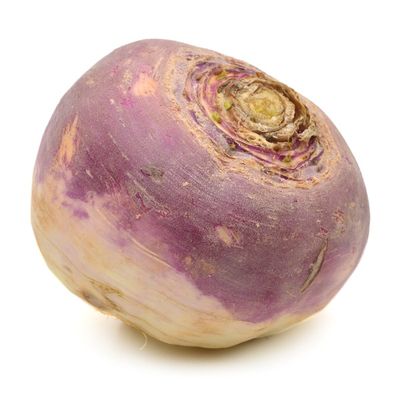 Rutabaga Bag