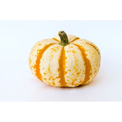Bay Baby Produce Pumpkin, Tiger Stripe