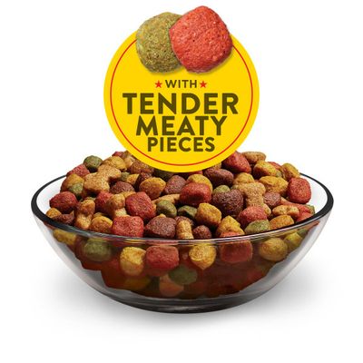 Purina Dog Chow Dry Dog Food, Tender & Crunchy With Real Lamb