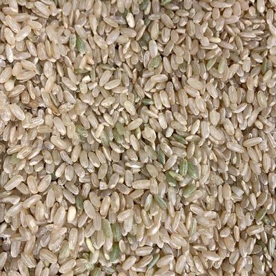 Organic Medium Grain Brown Rice