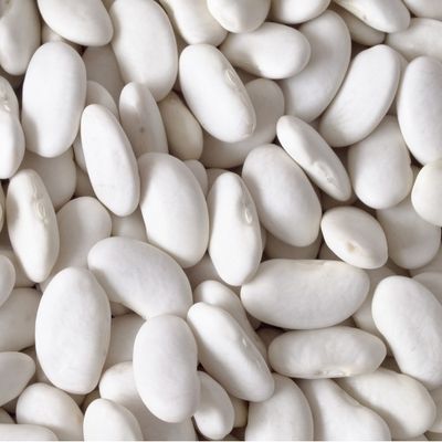 Organic Great Northern Beans