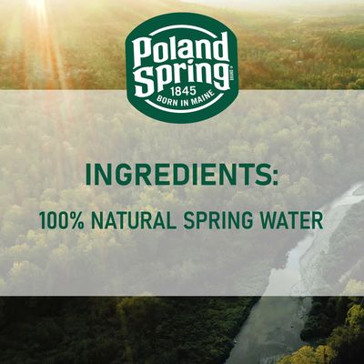 Poland spring Natural Spring Water