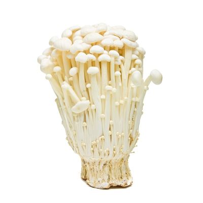 Organic Enoki Mushroom