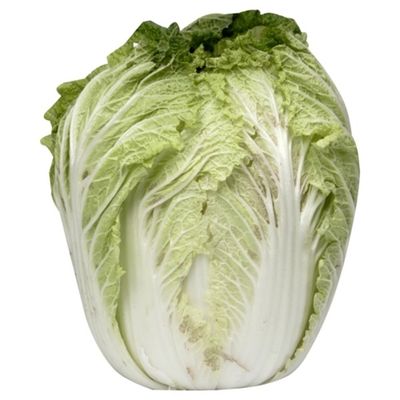Napa Cabbage