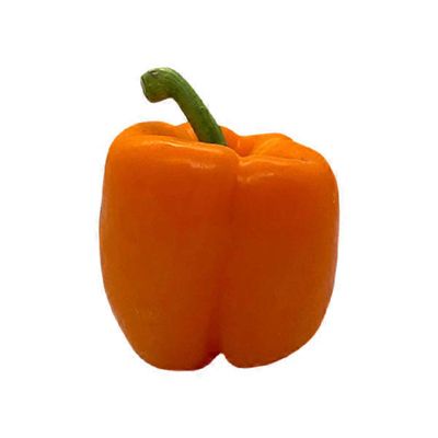 Orange Bell Pepper
